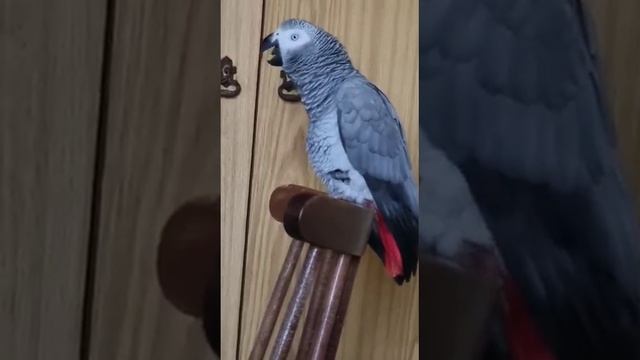 Спать хОчу. Рано встала. смотреть онлайн