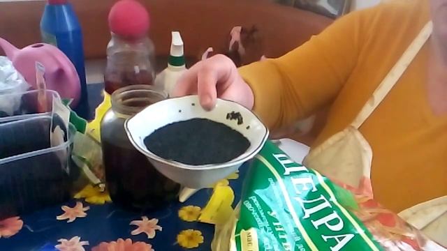 Замачивание лука-чернушки в растворе "Гумата" смотреть онлайн