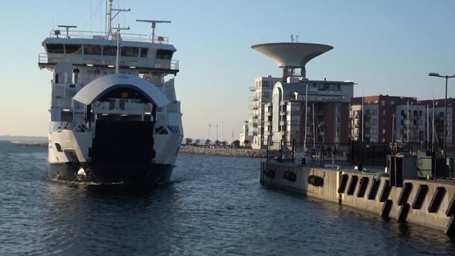 Охота фазанов, уток и зайцев. В поисках охотничьих трофеев. (Охотник и рыболов)