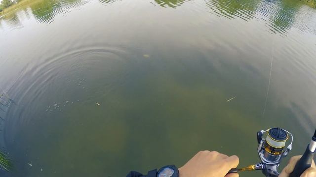 РОСТОВ-НА-ДОНУ | ГНИЛОВСКОЙ КАНАЛ - ловля на вращающиеся блесны. смотреть онлайн