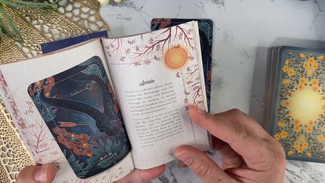My new favorite herbal deck?!?? | Preview of The Seed and Sickle Oracle by Fez Inkwright смотреть онлайн