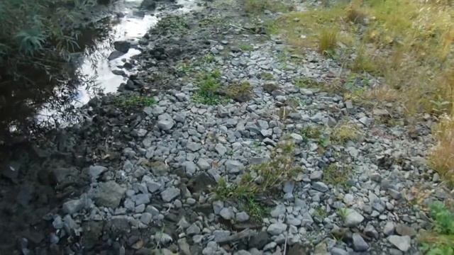16.09.2022г р.Каменка смотреть онлайн