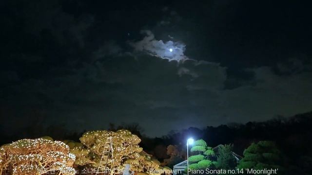 Relax Piano music,Beethoven 'Moonlight' Sonata #relaxmusic#Moonlight#Beethoven#Piano#Sonata#Senti смотреть онлайн