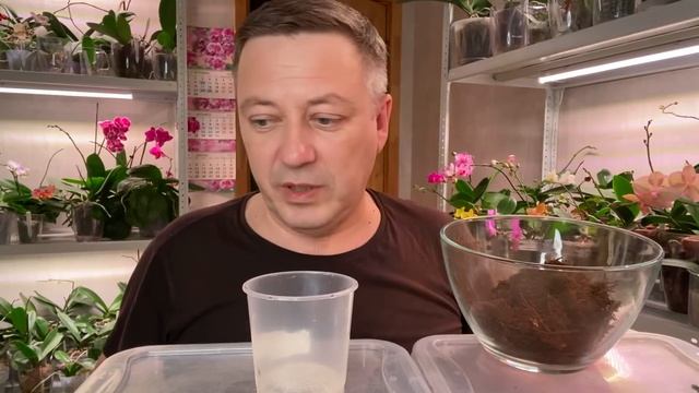 СЛАБЫЕ ОРХИДЕИ ОЖИВАЮТ и наращивают корни орхидей в ЭТОМ смотреть онлайн