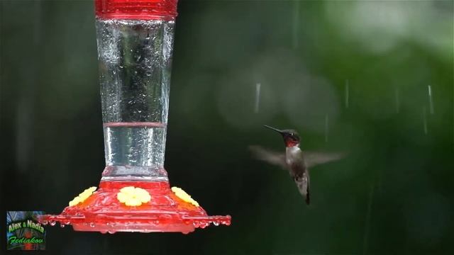 15 интересных фактов о Кубе смотреть онлайн