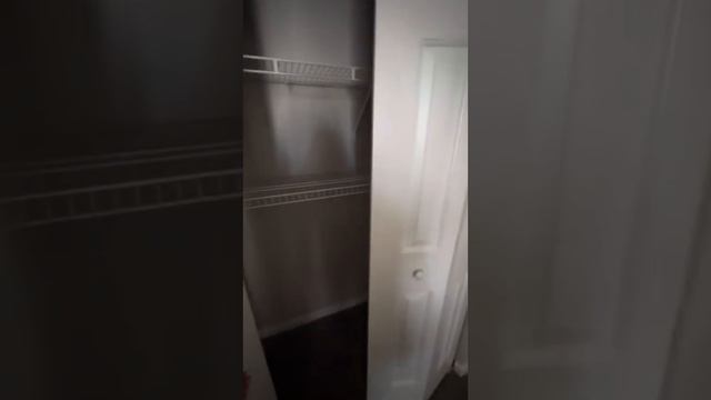 Magnolia Chase The White Bay смотреть онлайн