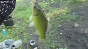 Рыбалка на карася с подругой. Озеро с.Власиха. Пробуем новую снасть. Рыбалка Барнаул