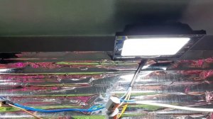 ОСВЕЩЕНИЕ ДЛЯ РАССАДЫ. Какие лампы выбрать?