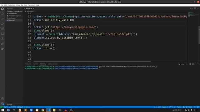 Bikin Bot Web Automation Python Selenium | Memilih Select Option Untuk Drop Down Box смотреть онлайн