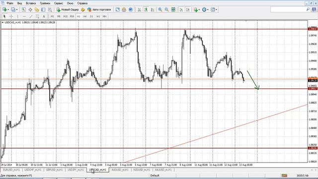 Прогноз на 13.08.2014 валютный рынок Forex смотреть онлайн
