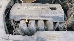 Металлический скрежет при запуске на холодную. Avensis 2007 г. 1zz-fe