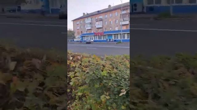 Очень странную разметку сделали по улице Интернациональная в Петропавловске смотреть онлайн