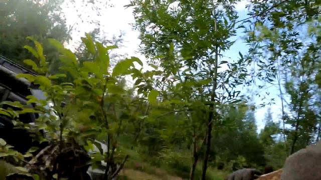 Встряли по самые помидоры........ смотреть онлайн