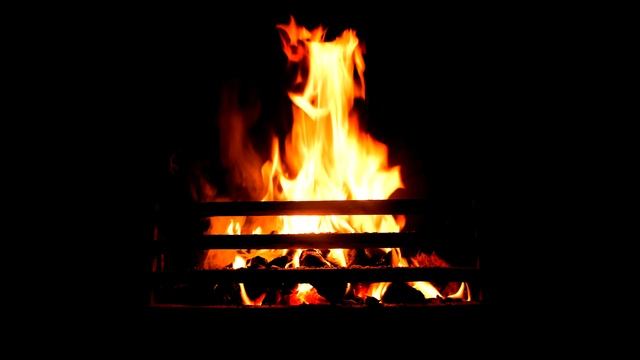 Fireside Chat #5 | Dealing with the BS of Life смотреть онлайн