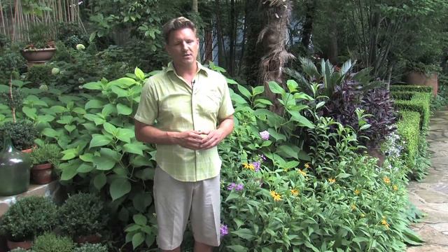 Today's Home with Chris H. Olsen - Favorite Perinnials смотреть онлайн