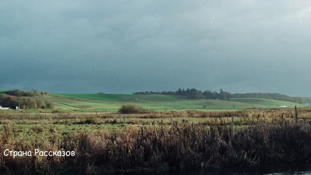 Сын прошептал на могиле мамы: Я женюсь, если бы ты была на свадьбе! И вдруг... смотреть онлайн