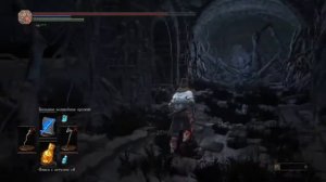 DARK SOULS III 3 - Что за предметы в лаве Тлеющего Озера
