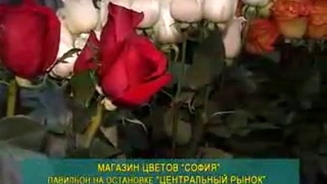 sofiya 280212 смотреть онлайн