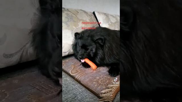 2022-10-03-140658009.mp4