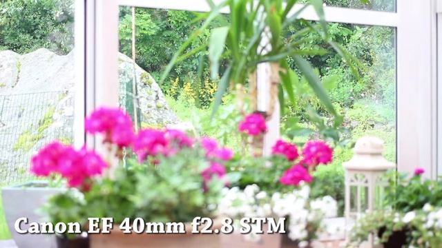 Canon EOS 650D - Video Auto Focus and AF sound/noise test - (40mm f2.8 STM vs 50mm f1.8) [1080p]