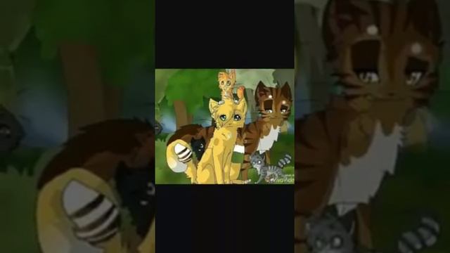 Белка и Ежевика/коты воители/ смотреть онлайн