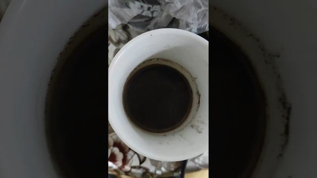 Гайд приготовления кофе в кружке не растворимый. смотреть онлайн