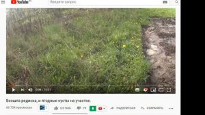 Живу на хуторе в Латгалии