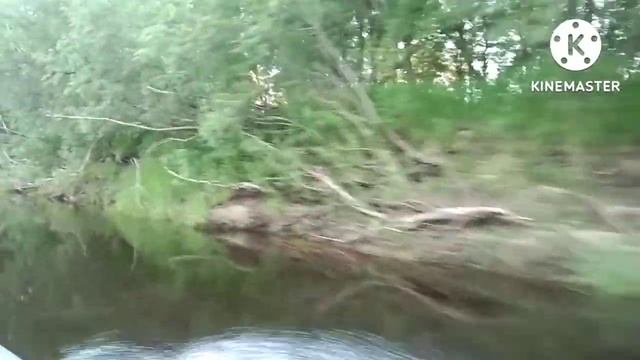 Рыбалка в удовольствие на реке Вишера. смотреть онлайн