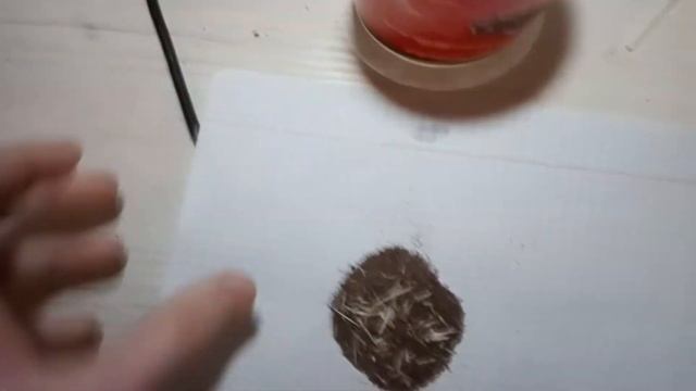 Получение бертолетовой соли из спичек смотреть онлайн