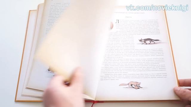 Иллюстрированный Бюффон смотреть онлайн