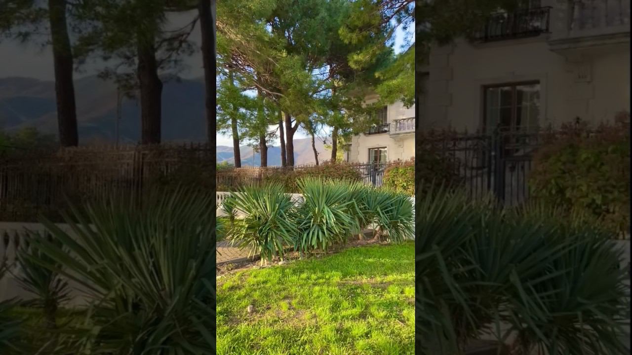 Ты оглянись / SEVENROSE #sevenrose #аленаросс #чернаясмородина #виктормогилатов #алёнаросс смотреть онлайн