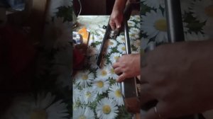 сбор Иж 81 подробно