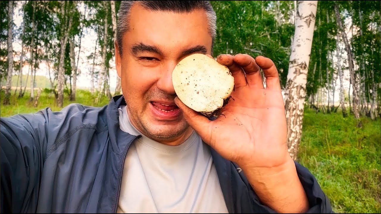 Вот это срез ! Вечером в лесу страшно :) смотреть онлайн