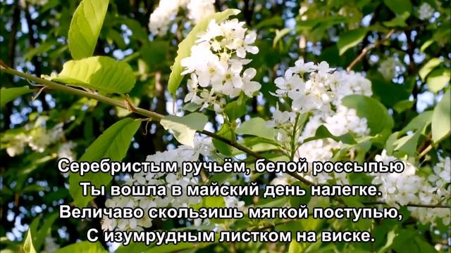 «Цветёт черёмуха и звонко поют соловьи» ? Стихи Лидии Тагановой смотреть онлайн