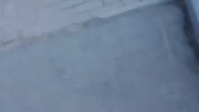 Прогулка+экскурсия2по паркуВРЗ смотреть онлайн