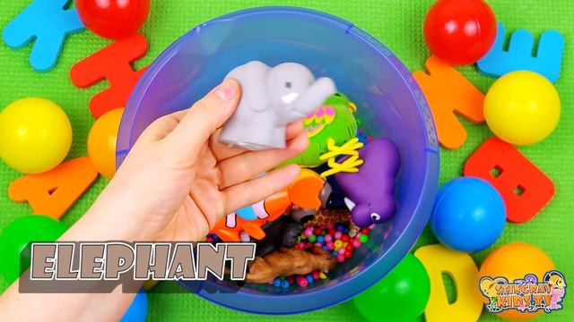 Animals For Kids - Learn Animal, Sea Animal And Wild Animal Toys For Kids