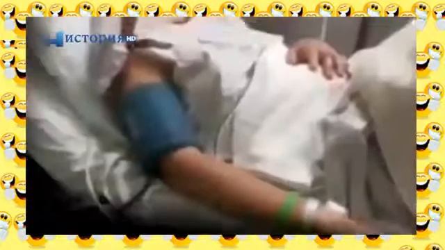 Нападение ядовитых змей на людей Опасные животные. Самые Страшные и Опасные! смотреть онлайн