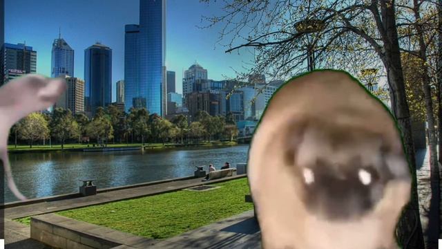 СОБАКИ ТАНЦУЮТ ПОД АГРЕСИВНЫЙ ФОНк!??????? смотреть онлайн