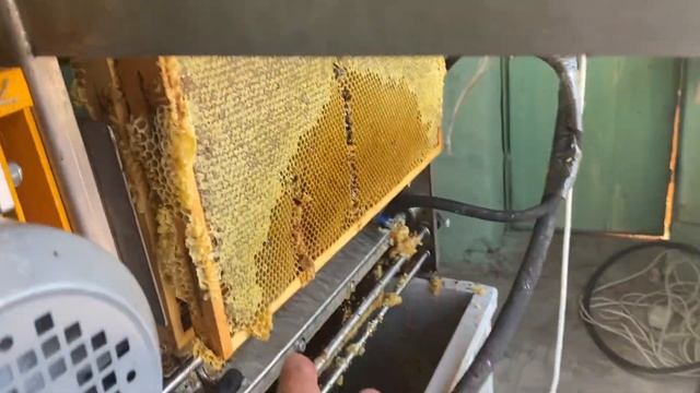 Процесс откачки мёда смотреть онлайн