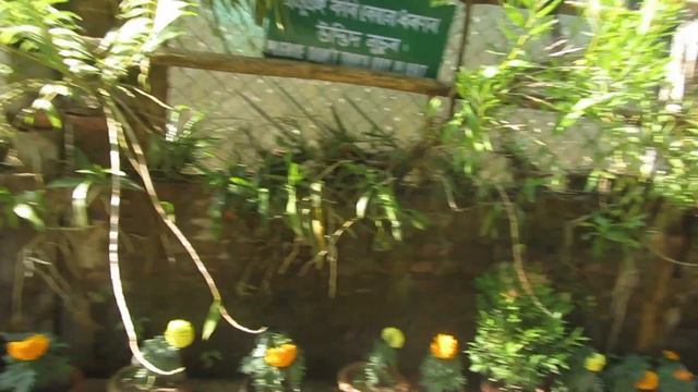 #VLOG | INDIA'S LARGEST ORCHID PARK | EPISODE-02 (PART- 1) KAZIRANGA DIARIES | смотреть онлайн