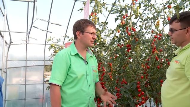 КОНСУЛЬТАНТ САДОВОДА 278 смотреть онлайн