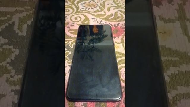 Он срёт кровью. смотреть онлайн
