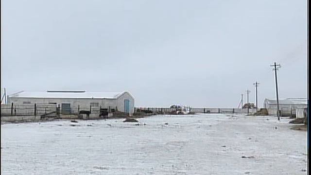 Социальная ответственность в Мамлютке КАЗ смотреть онлайн