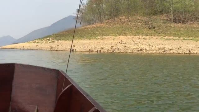 Тысячи диких обезьян на острове в Коаенг крачанге смотреть онлайн