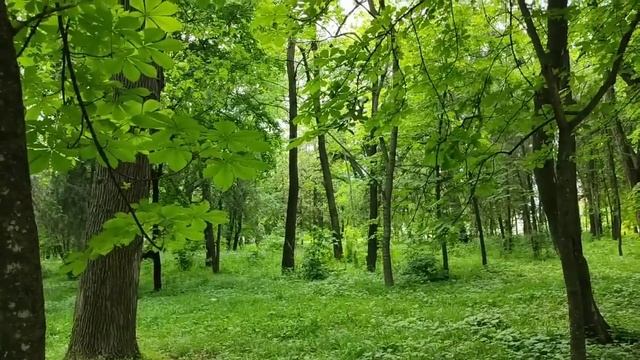 Перовы// Дотянет ли Зорька до осени? // Обзор видео// смотреть онлайн