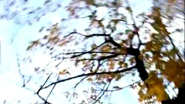 TORY YUTT - Первый лист сентября смотреть онлайн