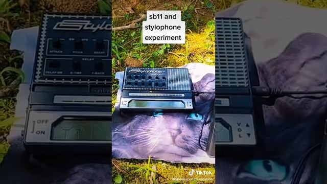 Experiment using a ￼Stylophone and Sb11 Spirit Box смотреть онлайн