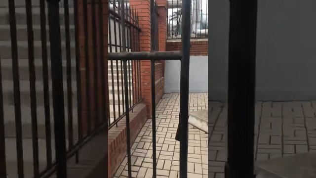 Матчевая встреча по боксу Мариуполь -Днепр 12.03.2021 смотреть онлайн