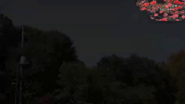 Minami Kojima Felt Sad When She Was Home Alone