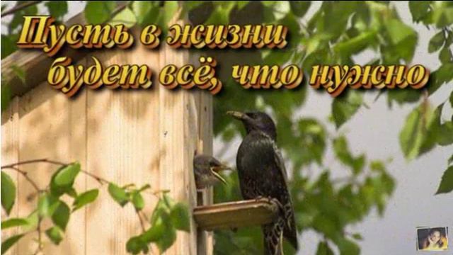 Поздравление с 8 Марта (волшебная музыка) смотреть онлайн